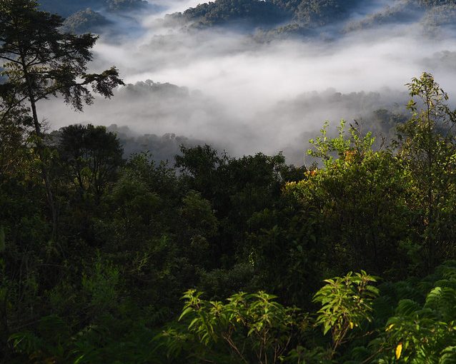 Exploring Rwanda and its Gorilla Kingdom