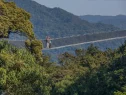 nyungwe-forest