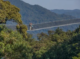 nyungwe-forest